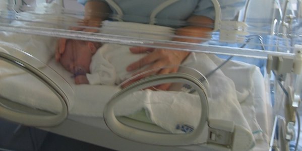 lattoferrina bimbi prematuri