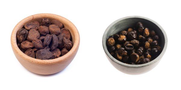 guarana e noci di cola