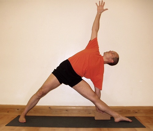 trikonasana Author Matthew Greenfield