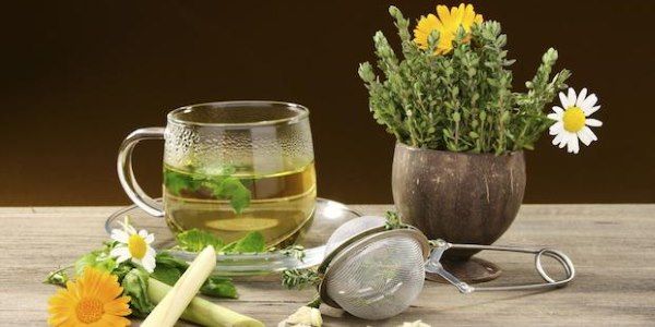 curarsi con le piante