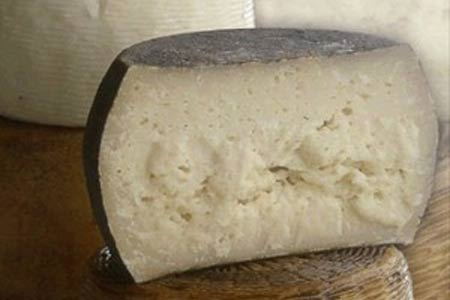 Cladis pecorino