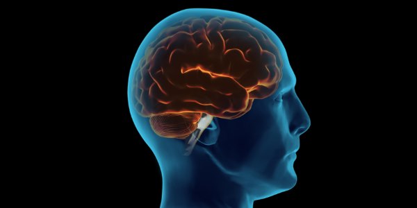 scelte morali dettate subtalamo