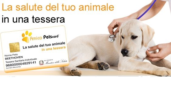 petscard 2010
