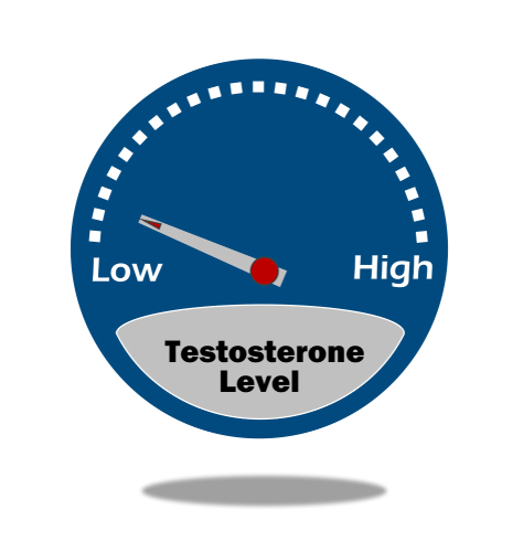 testosterone