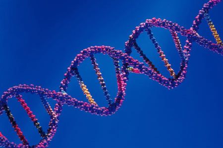 felicità dipende dal DNA