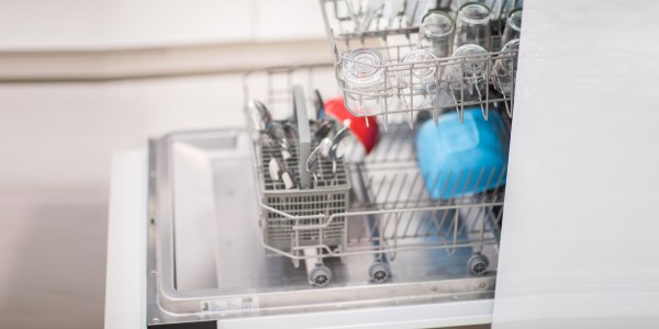 lavastoviglie funghi pericolosi