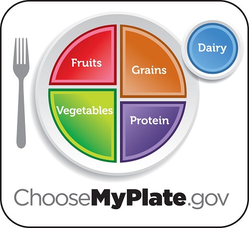 myplate michelle obama