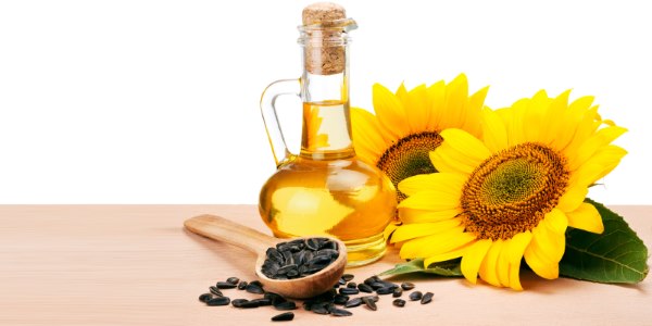 olio di semi di girasole