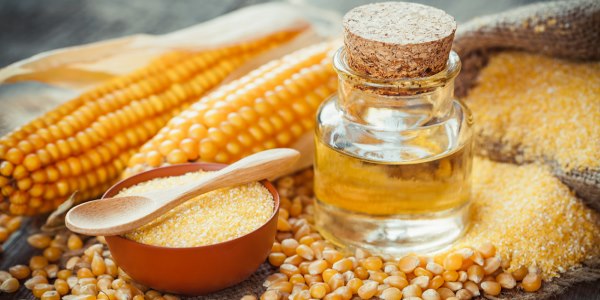 olio di semi di mais