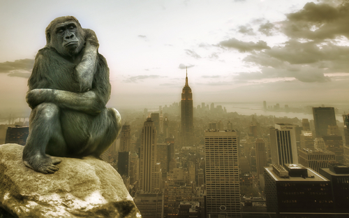 alba del pianeta delle scimmie