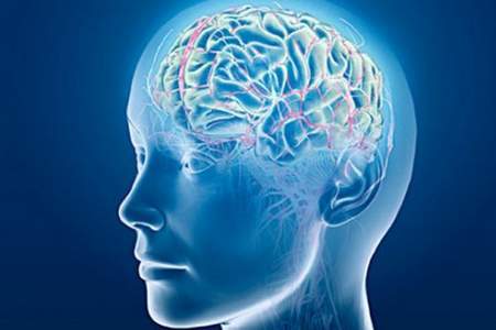 Cervello tatto-vista