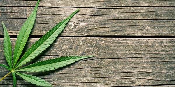 Incontinenza: nuove prospettive di cura con marijuana naturale