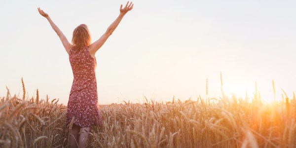 la ricerca della felicità