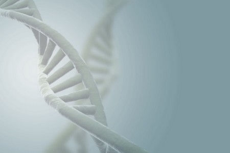 il vero amore si trova nel dna