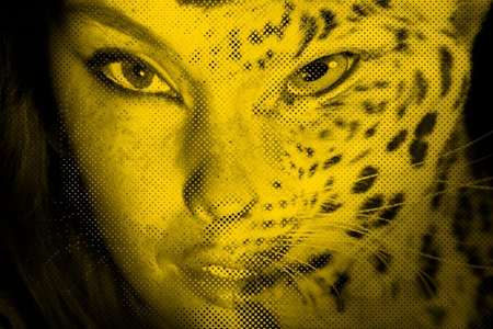 festival locarno 2012