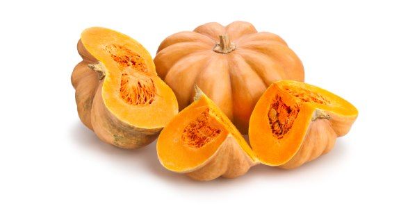 zucca