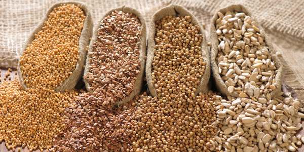 semi oleosi proprieta