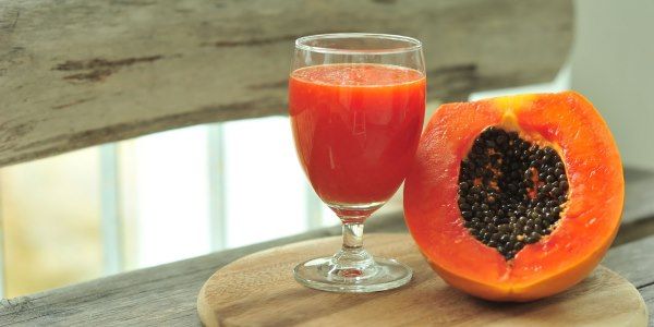 papaya fermentata proprieta