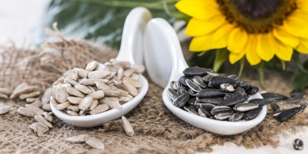 semi girasole benefici