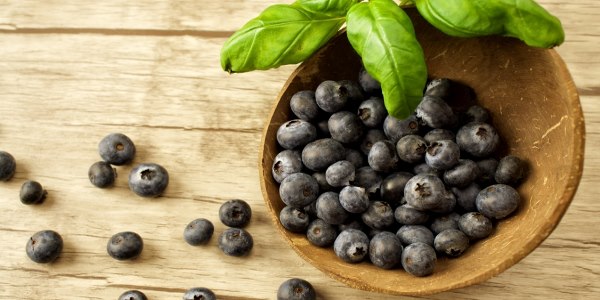 maqui proprieta antiossidanti