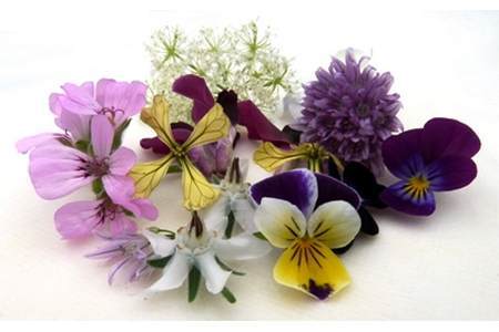 fiori edibili antiossidanti - fonte foto: eartheweeds.com