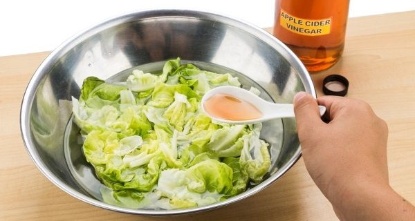 aceto di mele sull'insalata aceto di mele insalata