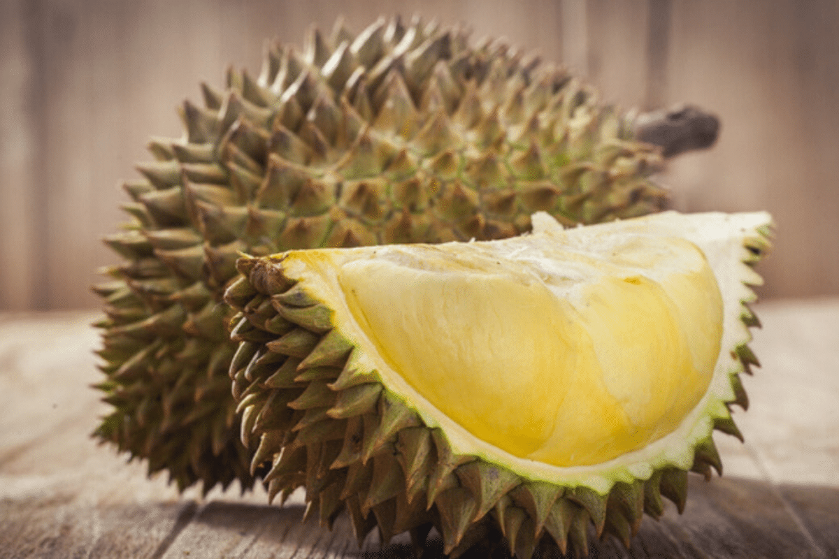 durian frutto
